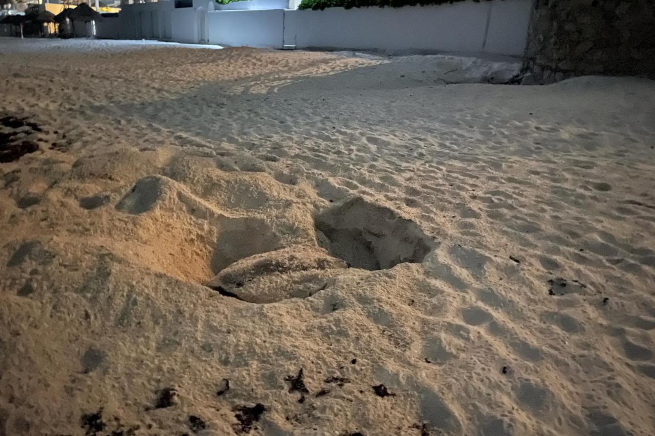 Renovated Studio In Cancun Beach At The Hotel Zone Extérieur photo